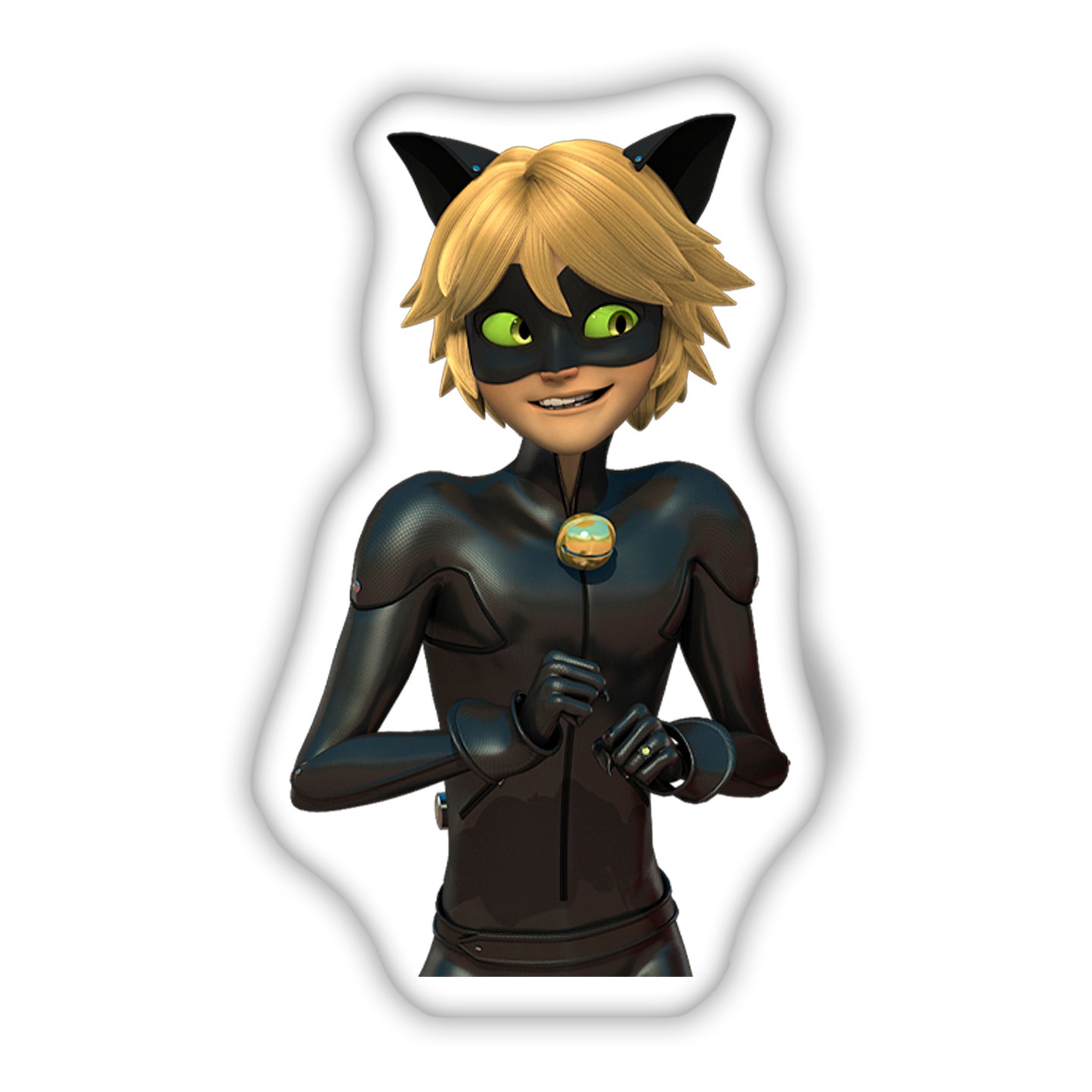 Cat Noir Kissen