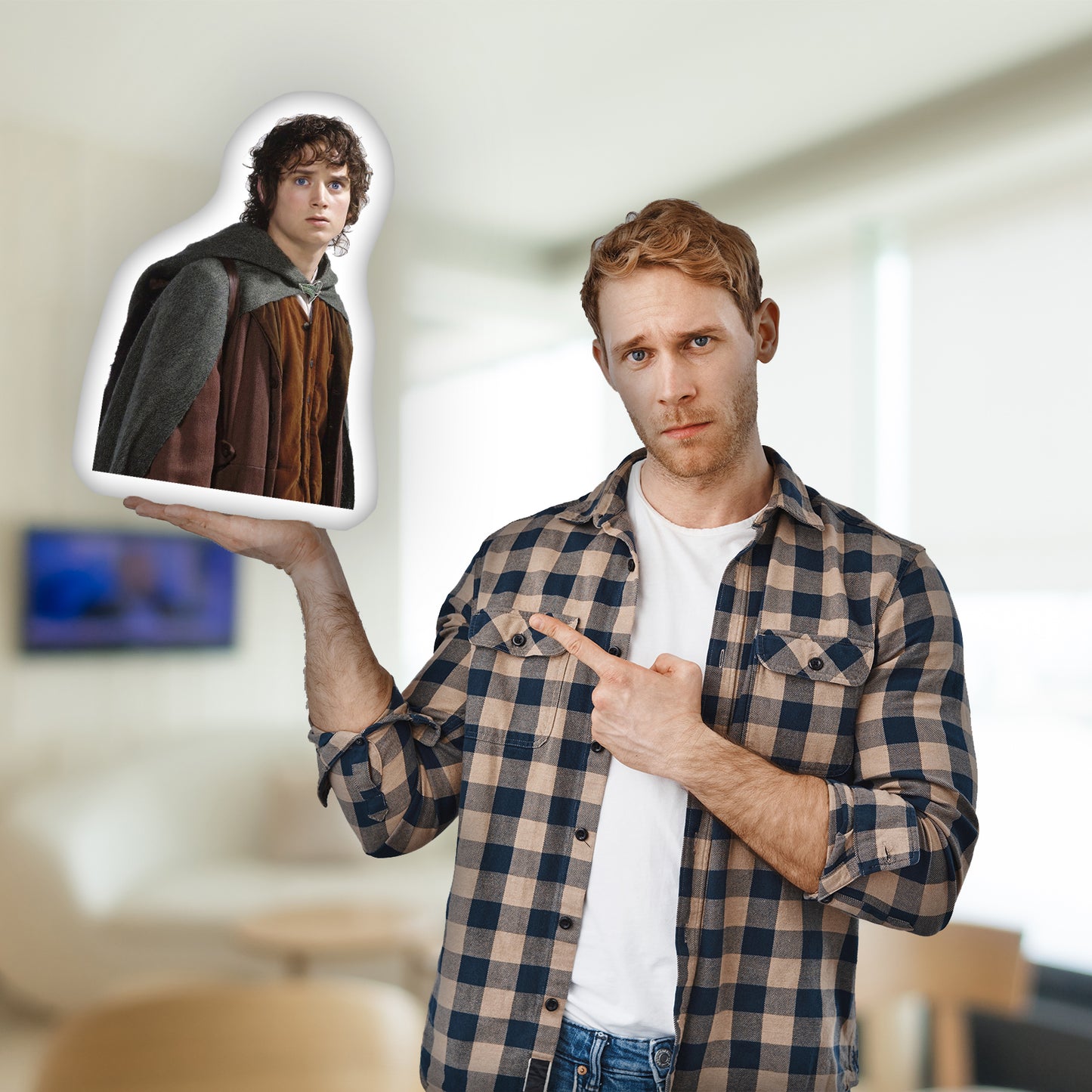 Frodo Beutlin 3D-Kissen