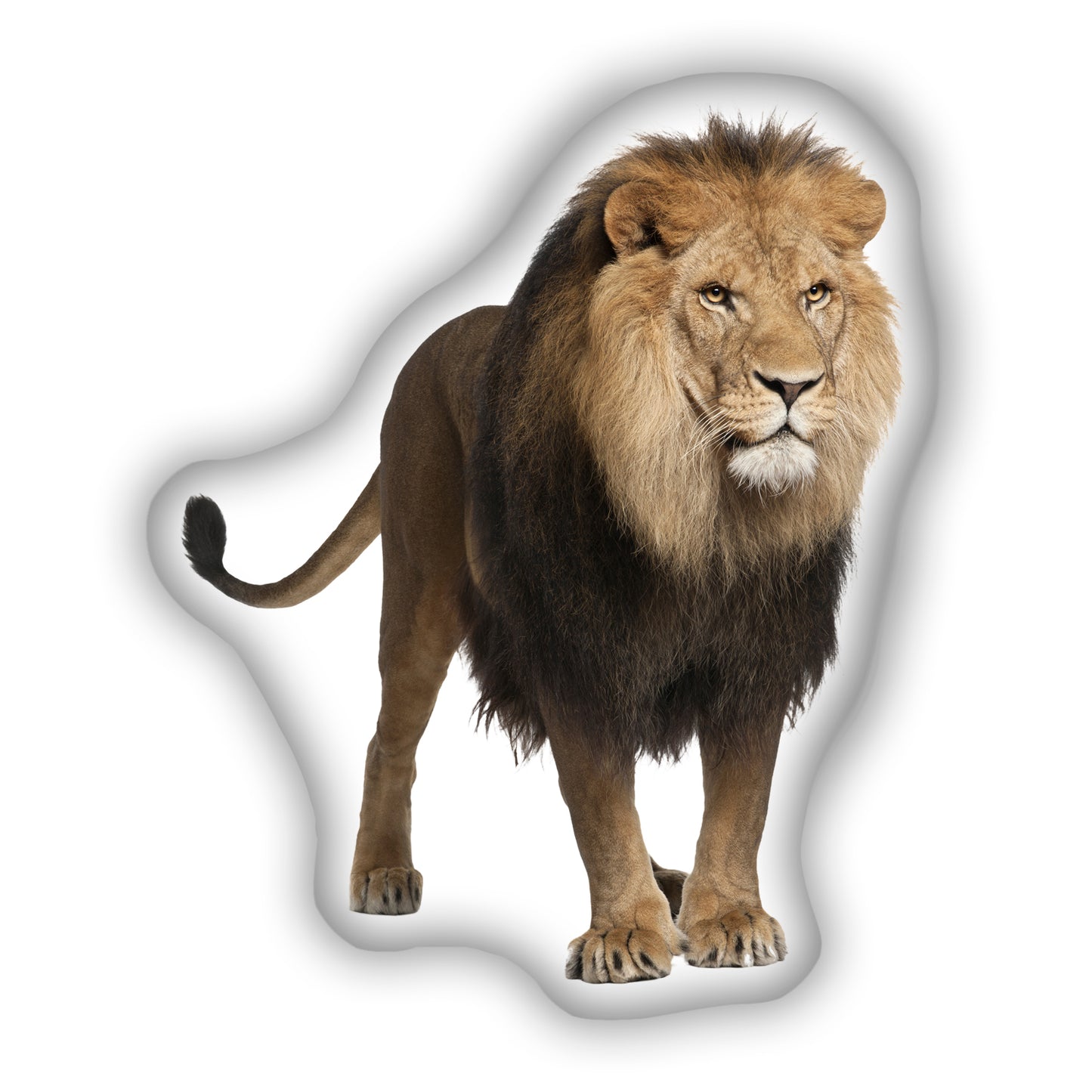 Lion Pillow