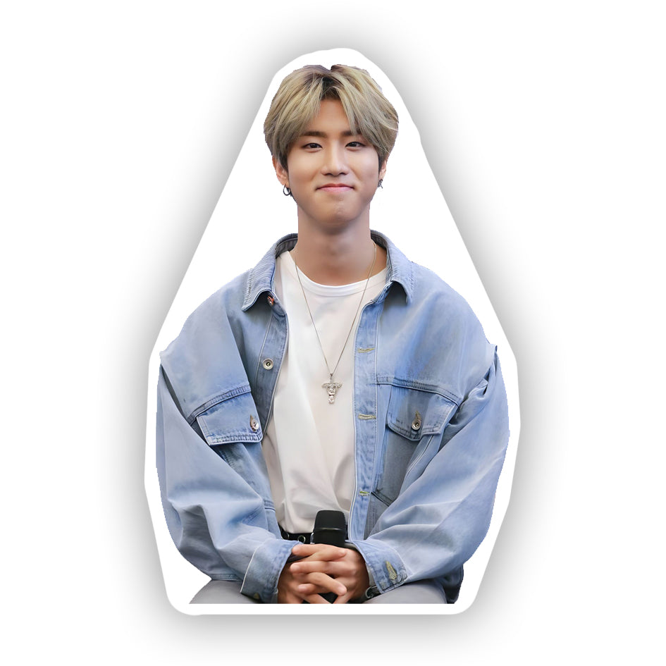 Han Jisung Decorative Pillow,  A Must-Have for Stray Kids Fans