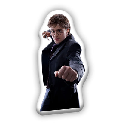 Harry Potter 3D-Kissen
