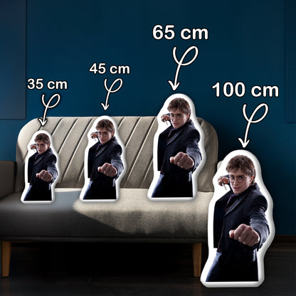 Harry Potter 3D-Kissen