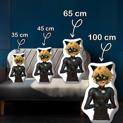 Cat Noir Kissen