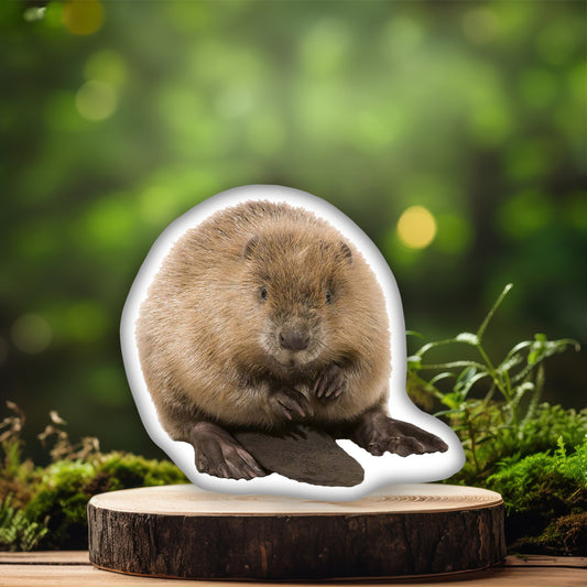 Beaver 3D Pillow, The Perfect Gift for Wildlife and Nature Enthusiasts