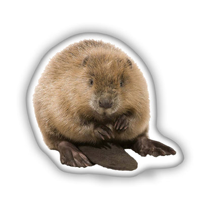 Beaver 3D Pillow, The Perfect Gift for Wildlife and Nature Enthusiasts