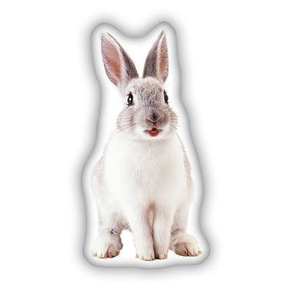 3D Pillow with Bunny, The Perfect Gift for Animal Lovers and Spring Enthusiasts