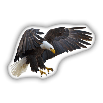 Eagle 3D Pillow,  A Majestic Gift for Bird and Wildlife Enthusiasts