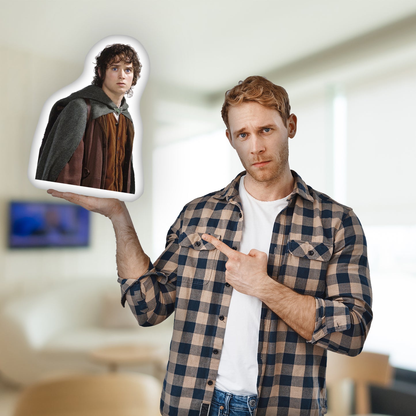 Frodo Baggins 3D Pillow,  The Perfect Gift for Every Lord of the Rings Fan