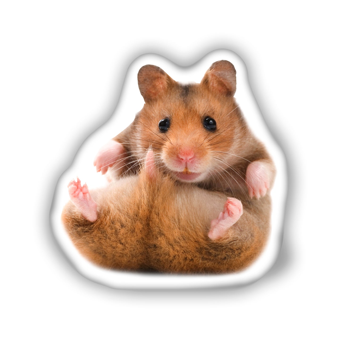 Hamster Decorative Funny Pillow,  The Perfect Gift for Small Pet Lovers