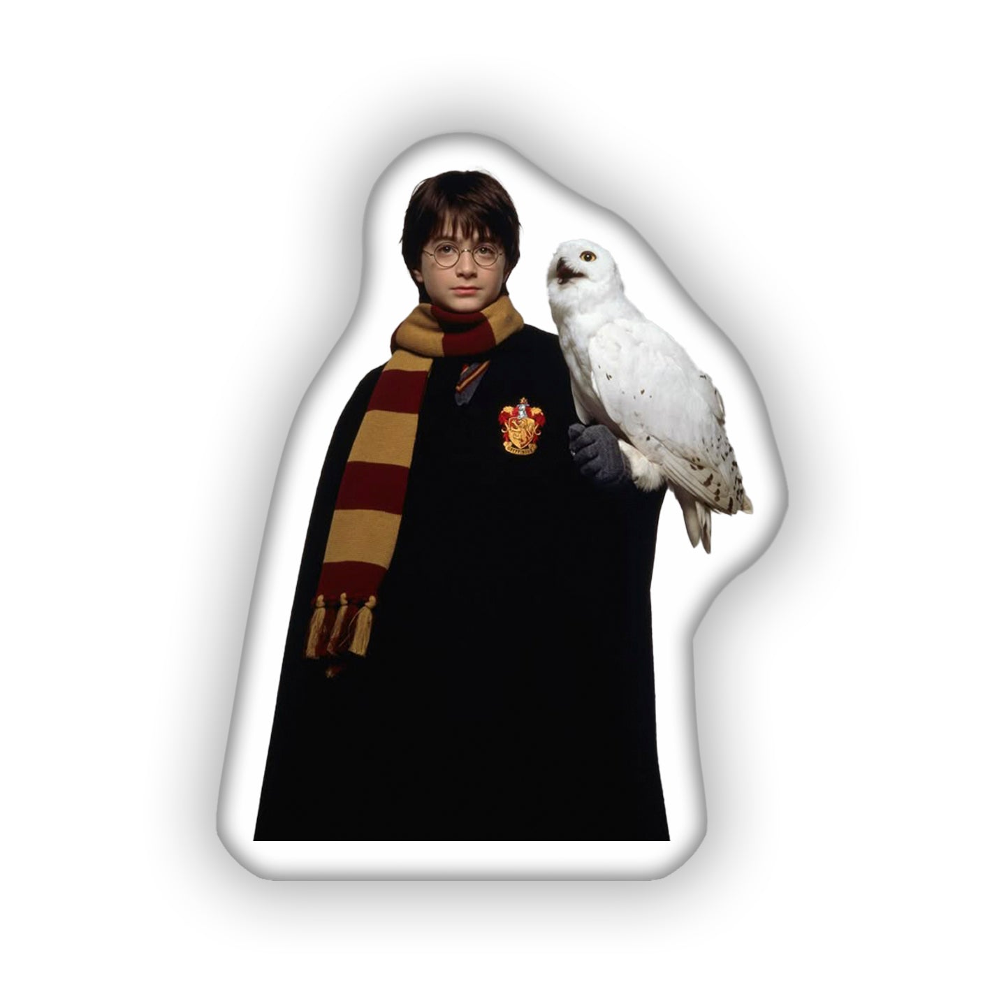 Harry Potter 3D Pillow,  The Perfect Gift for Every Wizarding World Fan