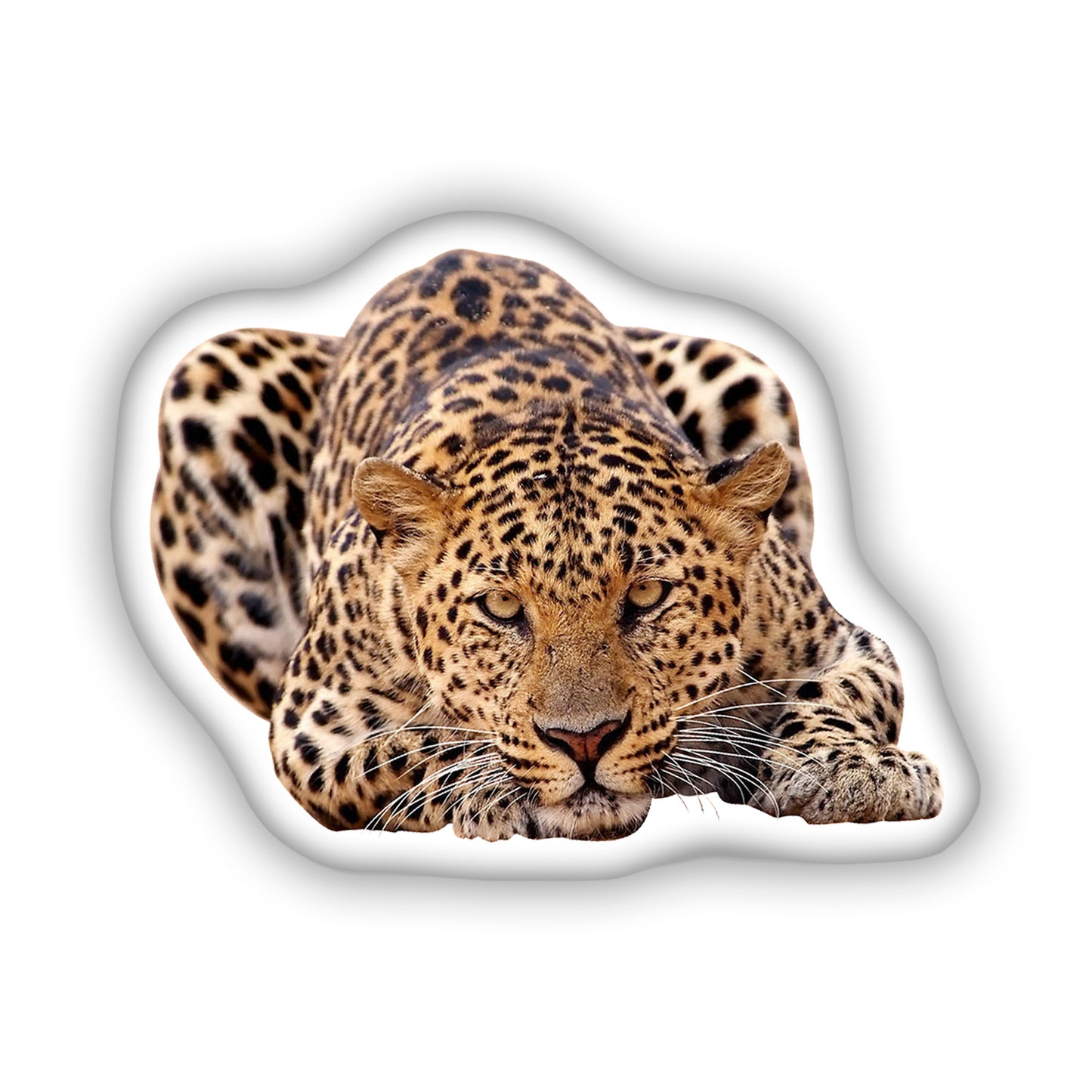 Leopard Decorative 3D Pillow, A Perfect Gift for Wildlife Enthusiasts