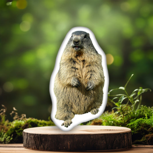 Groundhog 3D Pillow,  The Perfect Gift for Nature Enthusiasts