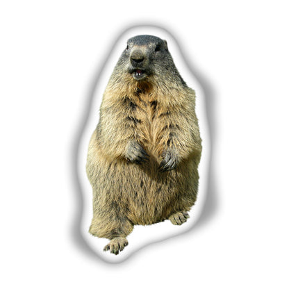 Groundhog 3D Pillow,  The Perfect Gift for Nature Enthusiasts