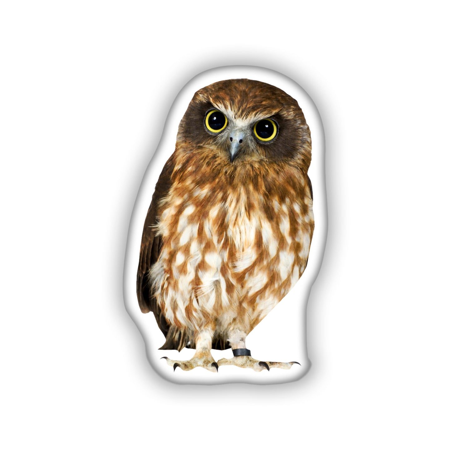 Owl Decorative Pillow, A Perfect Gift for Bird and Nature Lovers