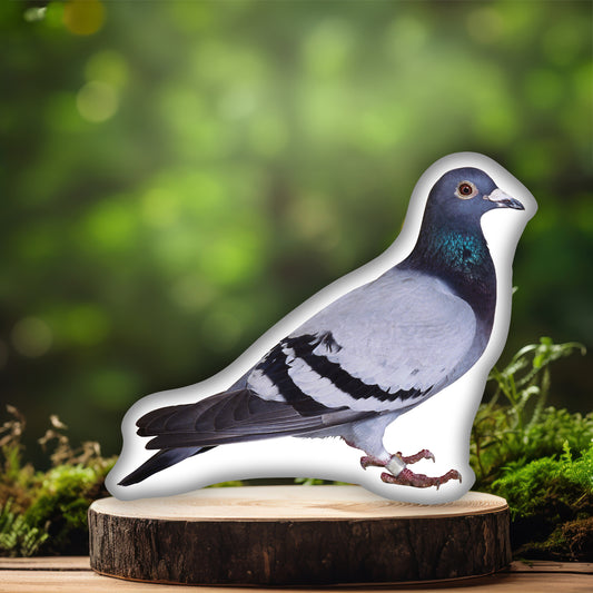 Pigeon Pillow, A Fun Gift for Bird Lovers and City Enthusiasts