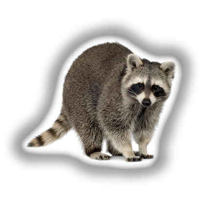 Raccoon 3D Pillow, A Fun Gift for Nature and Animal Lovers