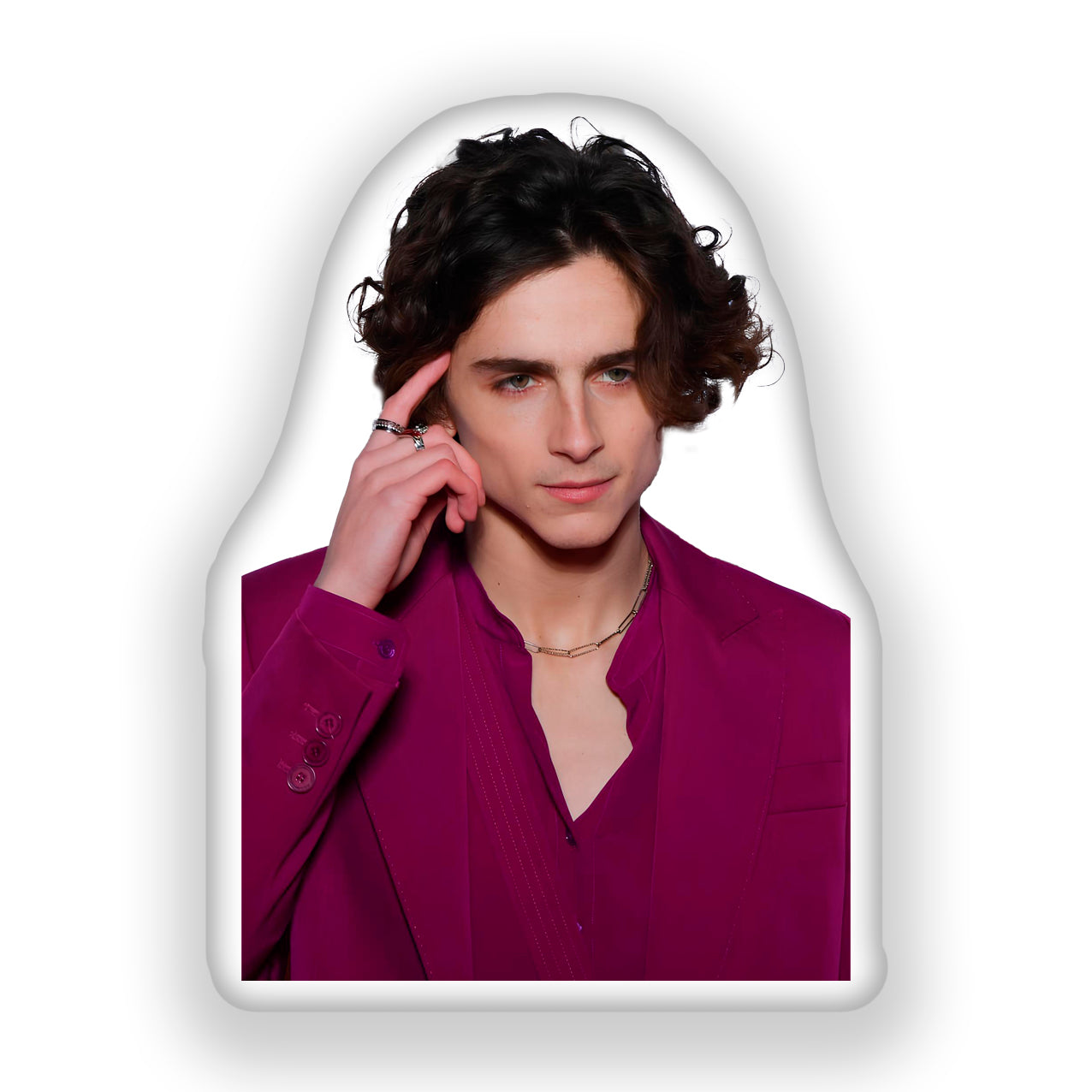 Timothée Chalamet 3D Pillow, A Dreamy Gift for Movie Fans and Style Enthusiasts