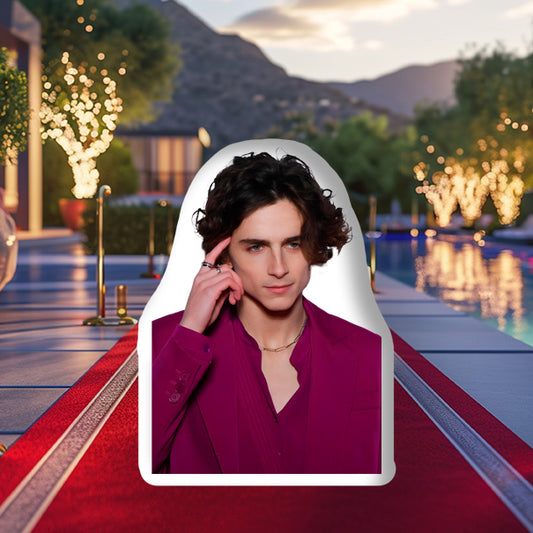 Timothée Chalamet 3D Pillow, A Dreamy Gift for Movie Fans and Style Enthusiasts