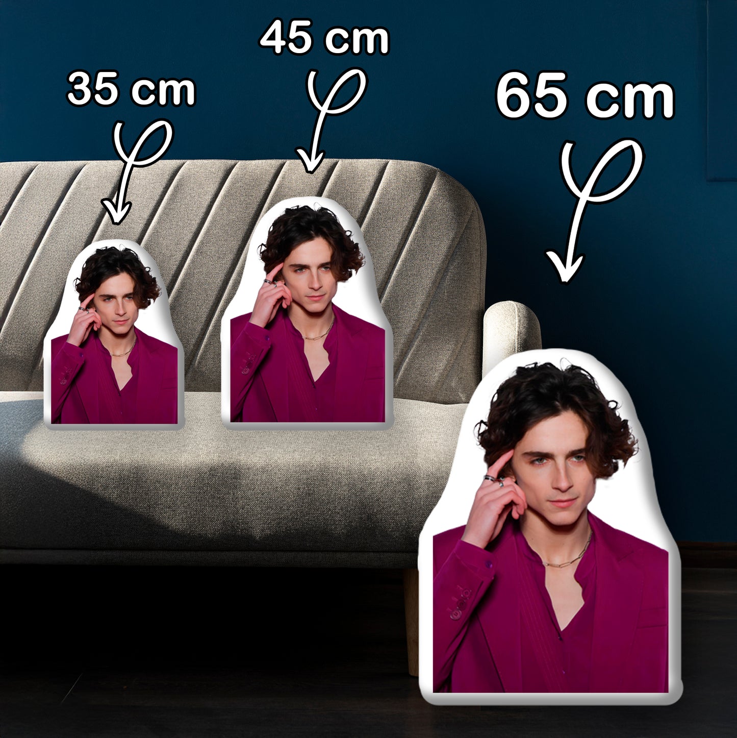 Timothée Chalamet 3D Pillow, A Dreamy Gift for Movie Fans and Style Enthusiasts