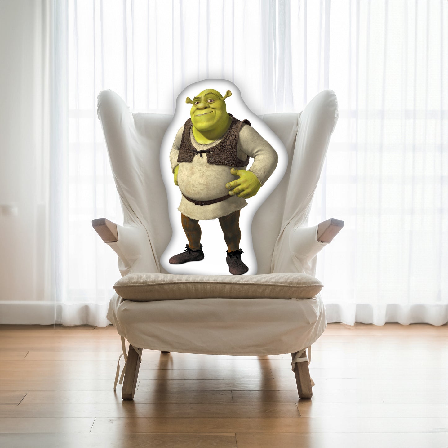 Shrek 3D Pillow,  The Perfect Gift for Every Shrek Fan